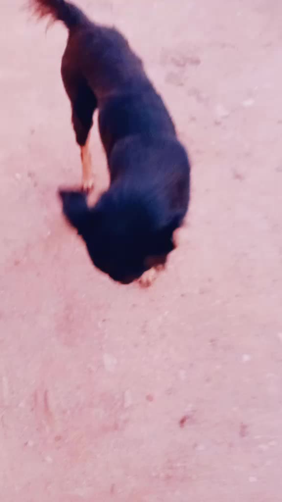 @Ãmãñ Ďødã