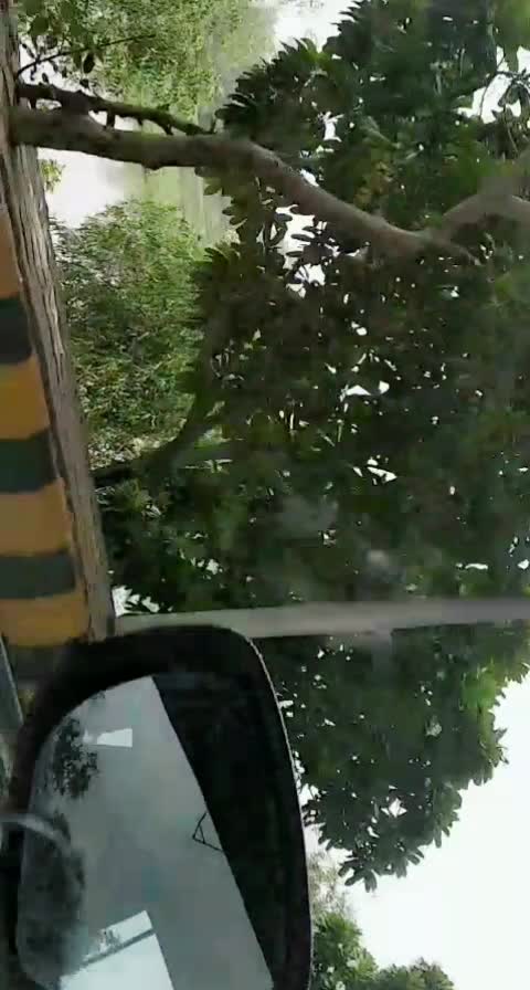 @Viska