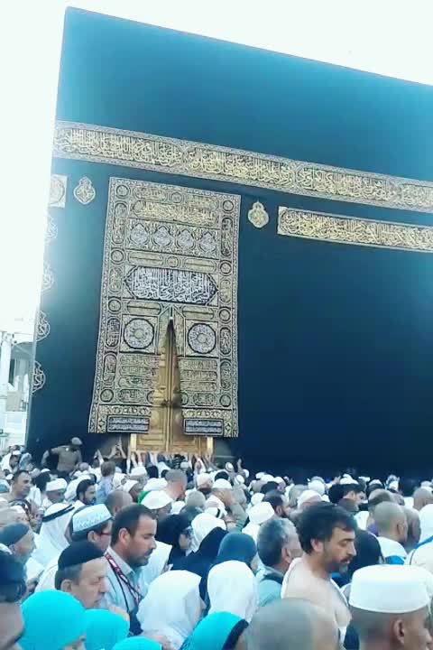 @shabbir