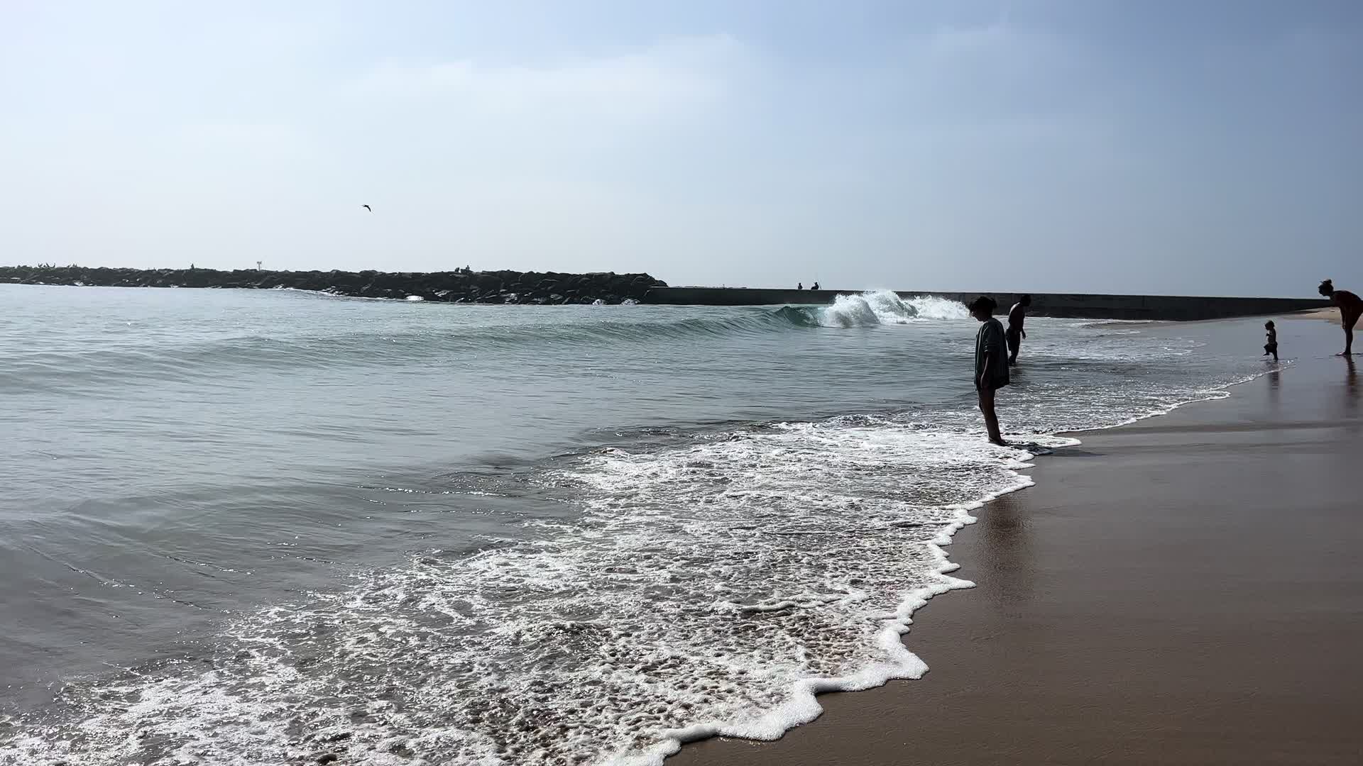 @D M 3-24-50