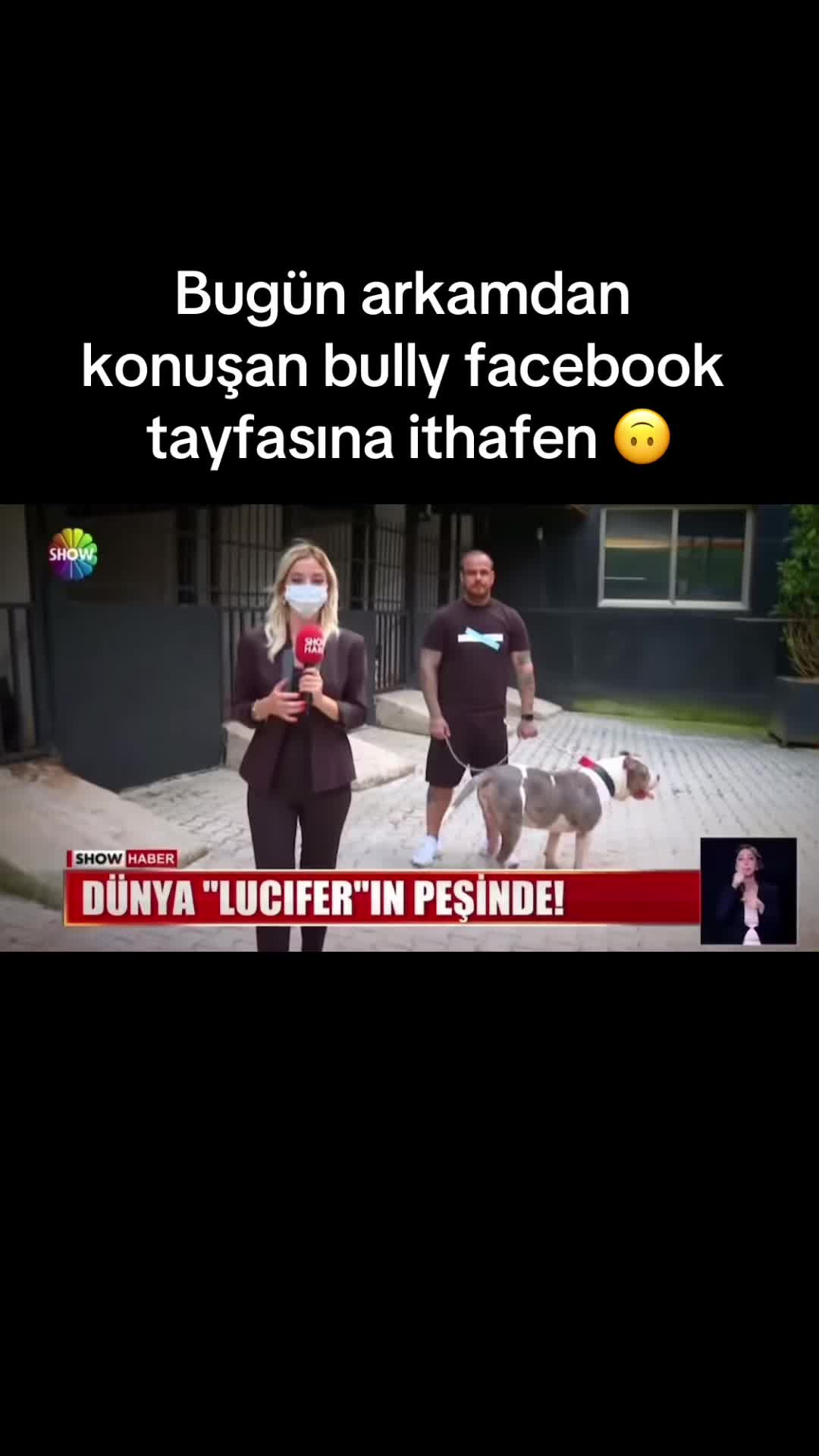 @Canko Bullies