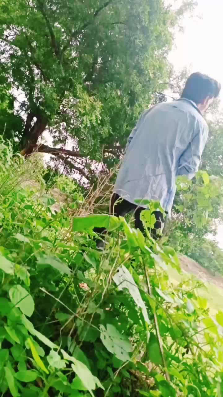 @వాసు ఆల్ రౌండర్ 1403