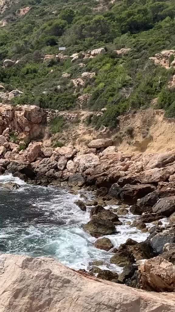 @bredi aka brady