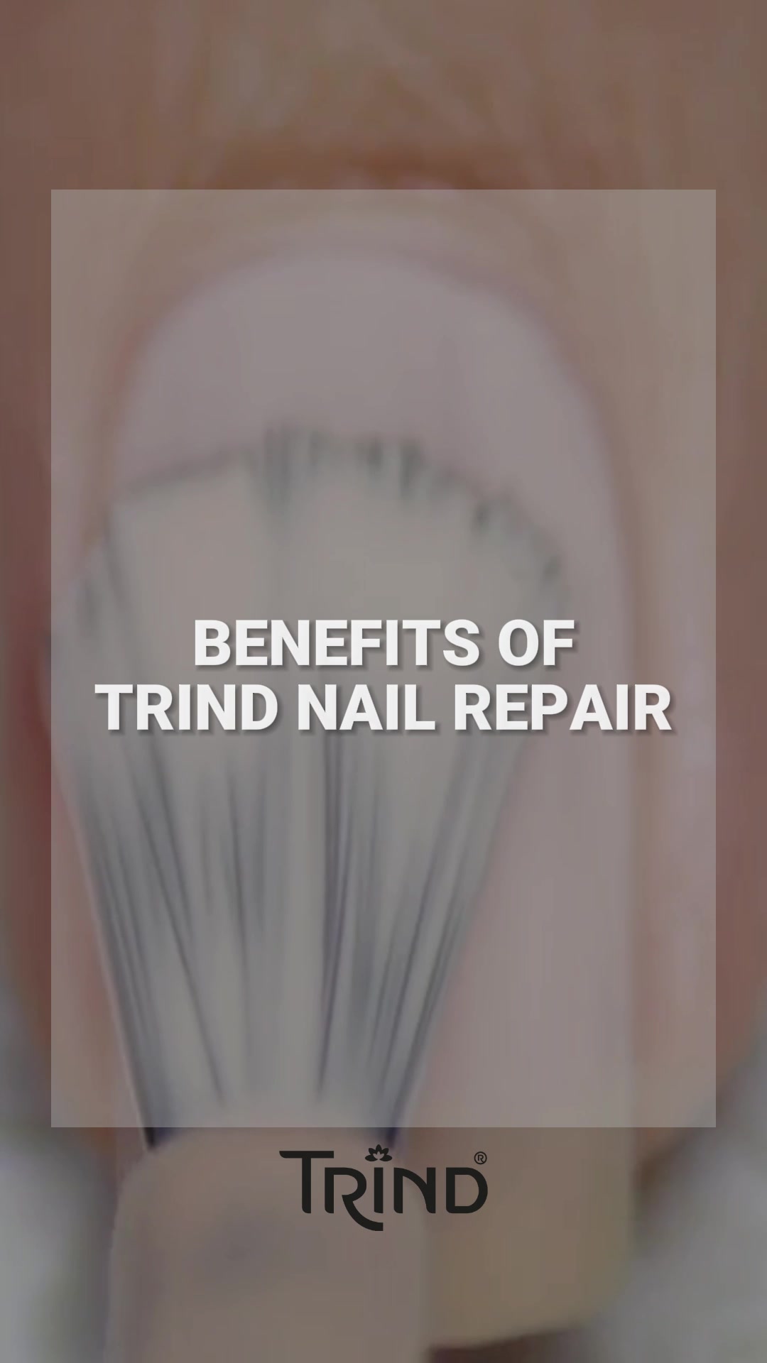 @Trind Cosmetics NL