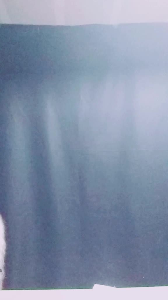 @Y_Screm