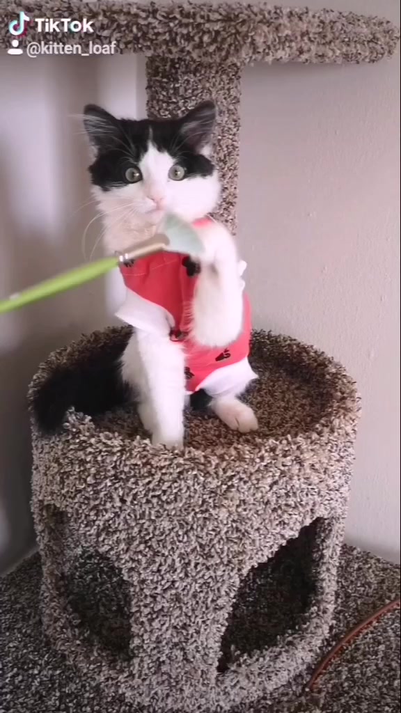 @If I fits I sits
