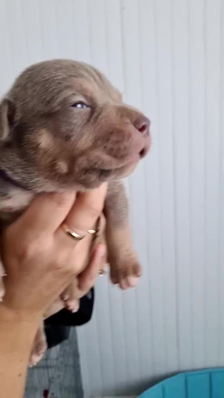 @Baby'sNala