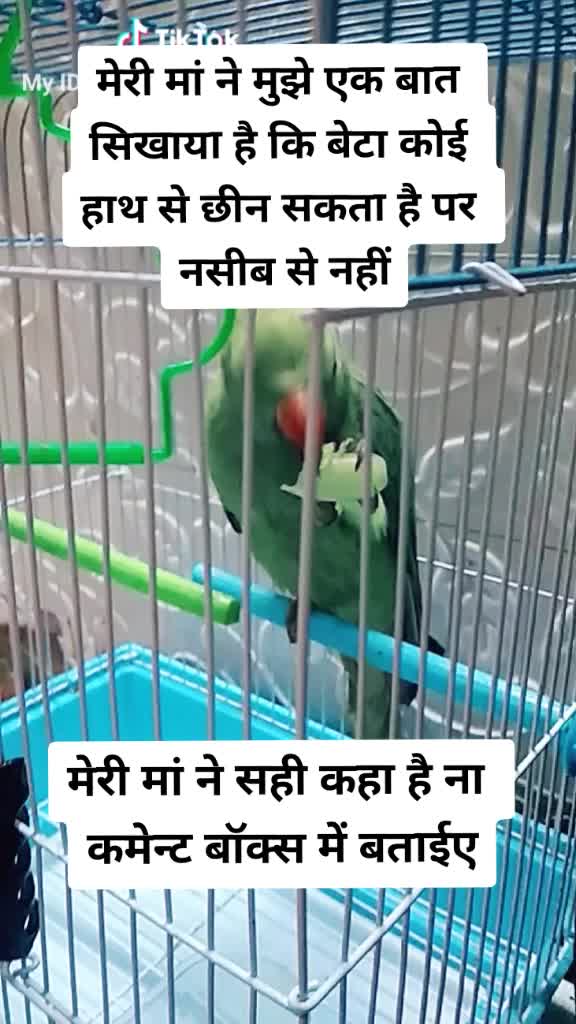 @saziya