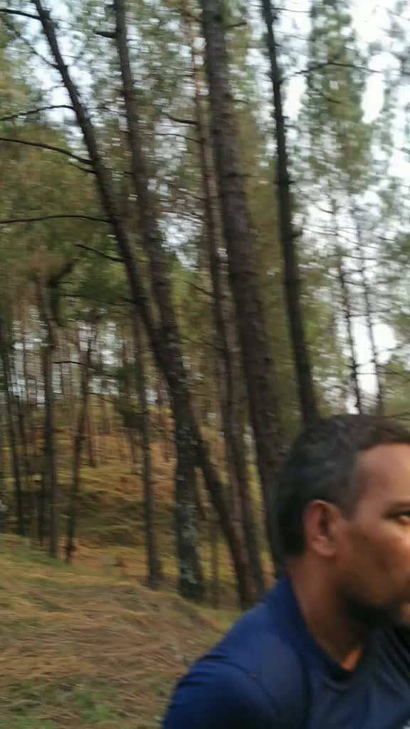 @dalipsingh
