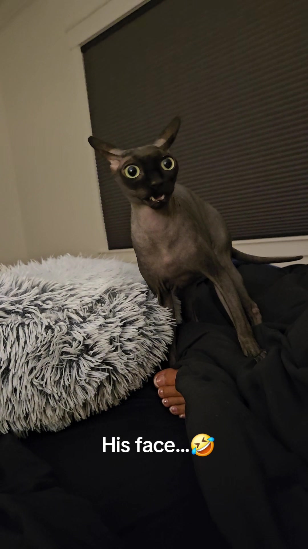 @kyoto.jack.sphynx