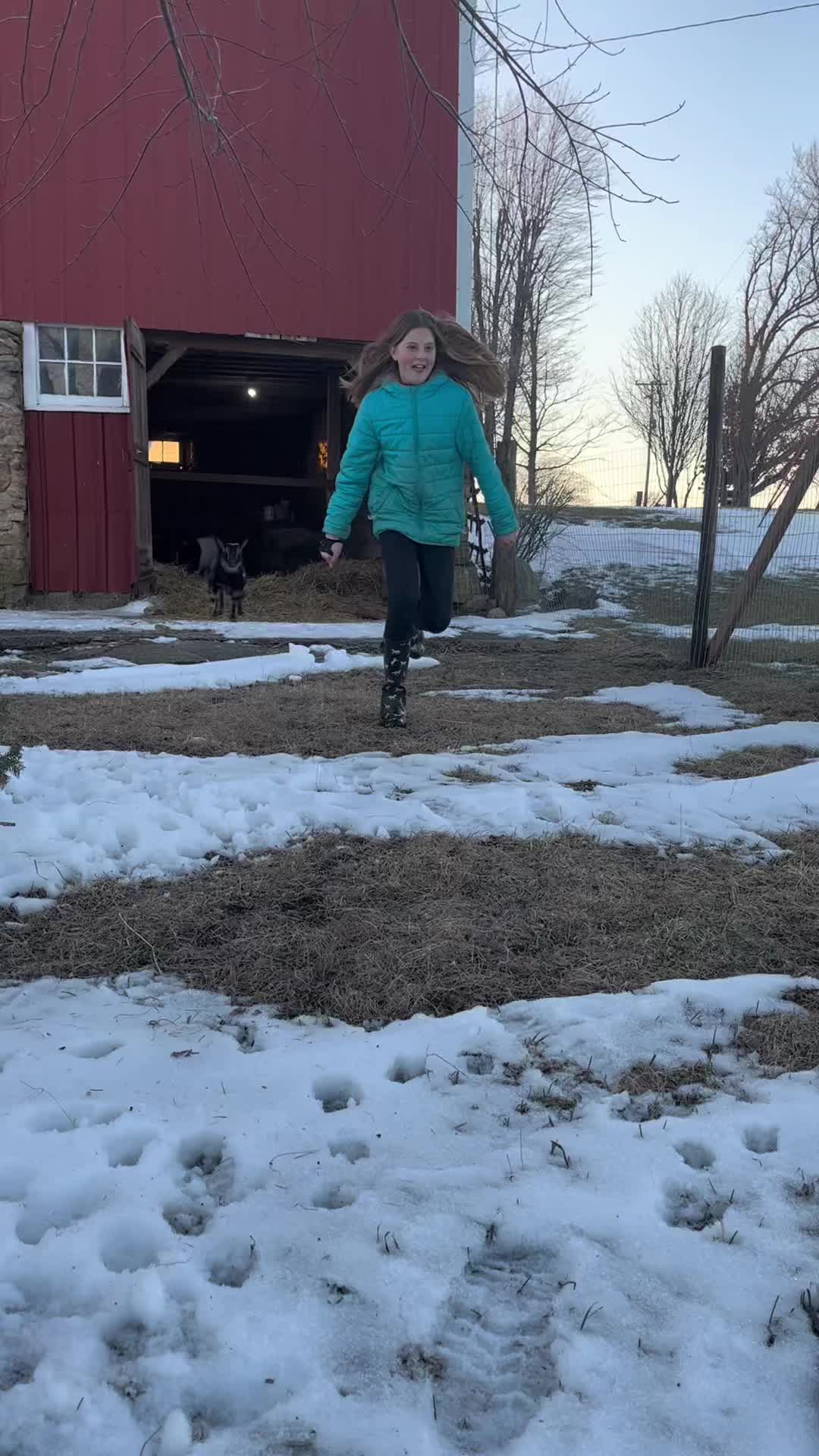 @Lindsaysue626