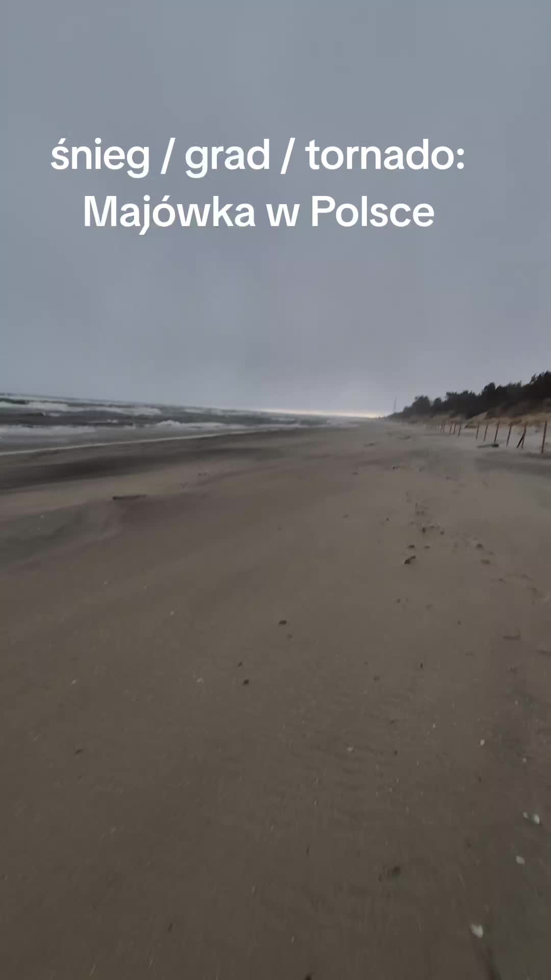 @Michael🇵🇱