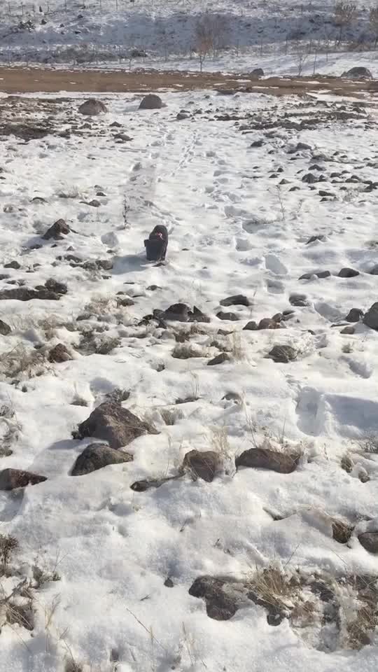 @01karaca02