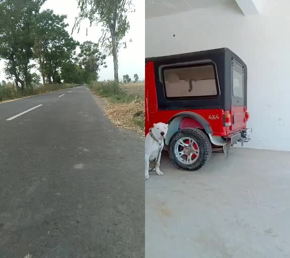 @Gurdeep Kasana
