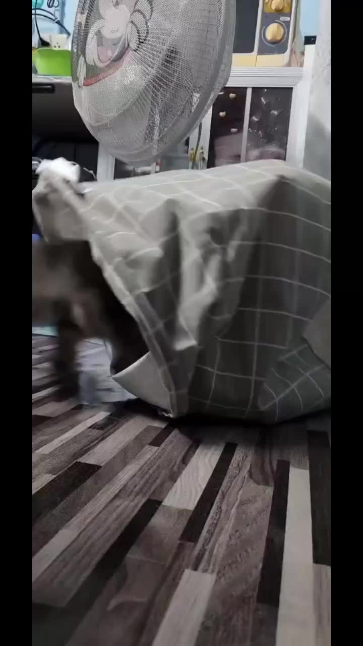 @oummy0612