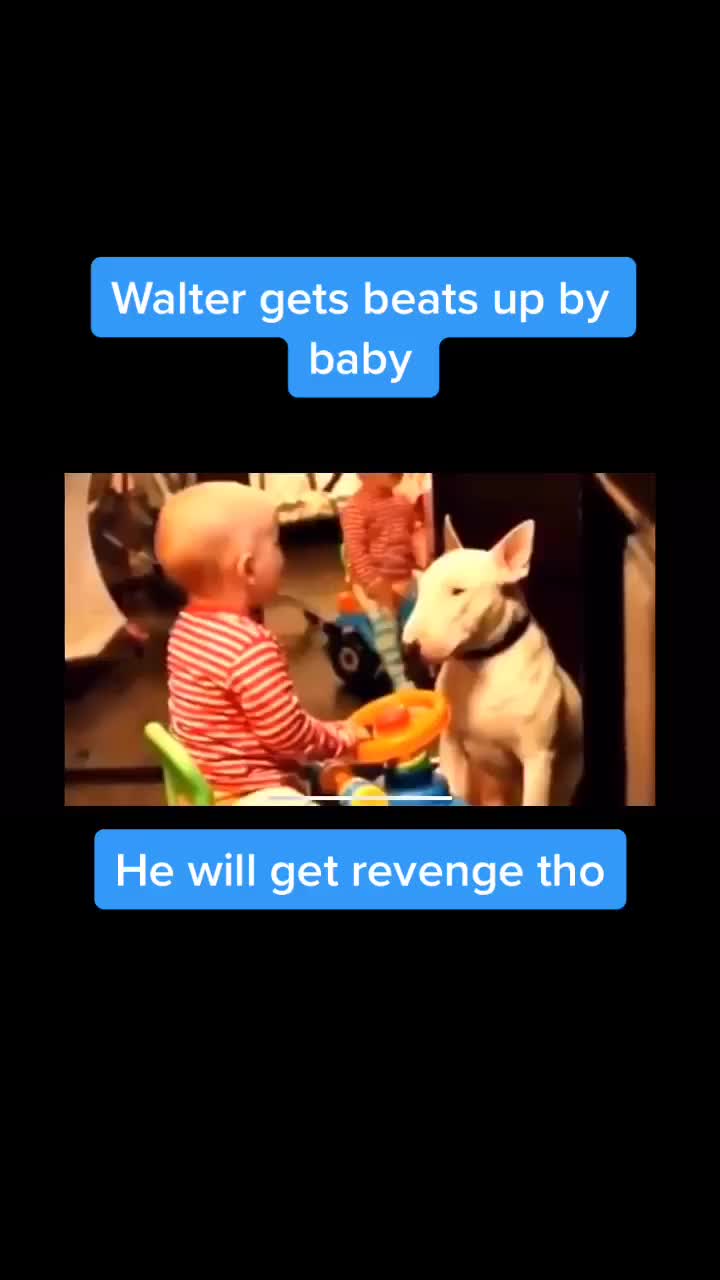 @WalterDog