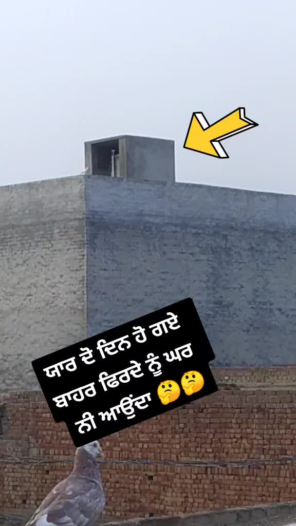 @Goldy1322