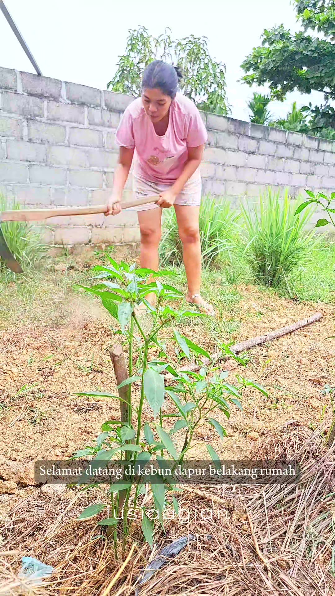 @Lusiaagarden