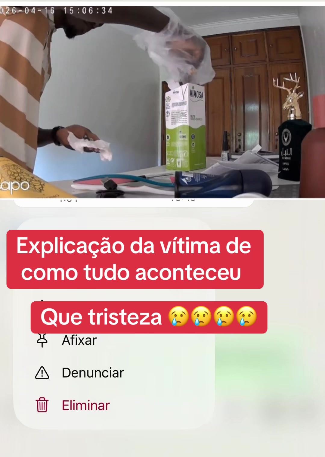 @Paloma Mendes