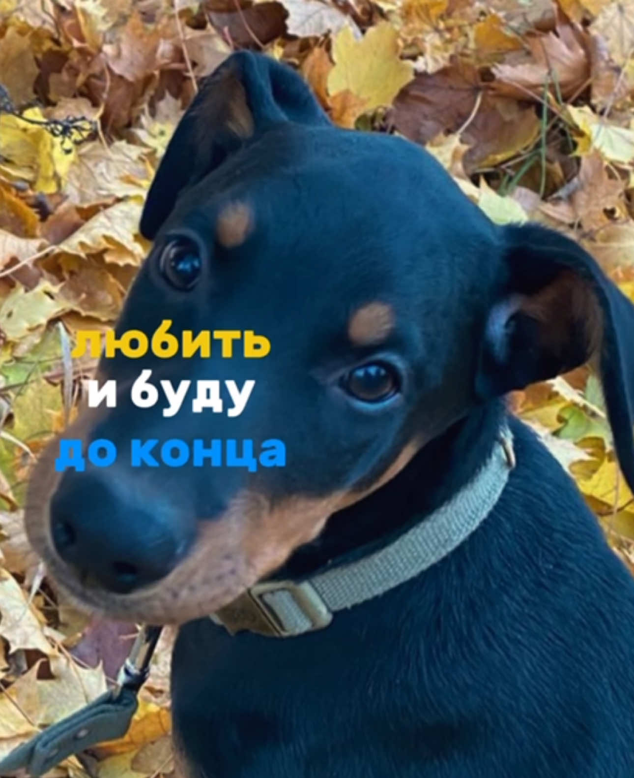 @Верочка