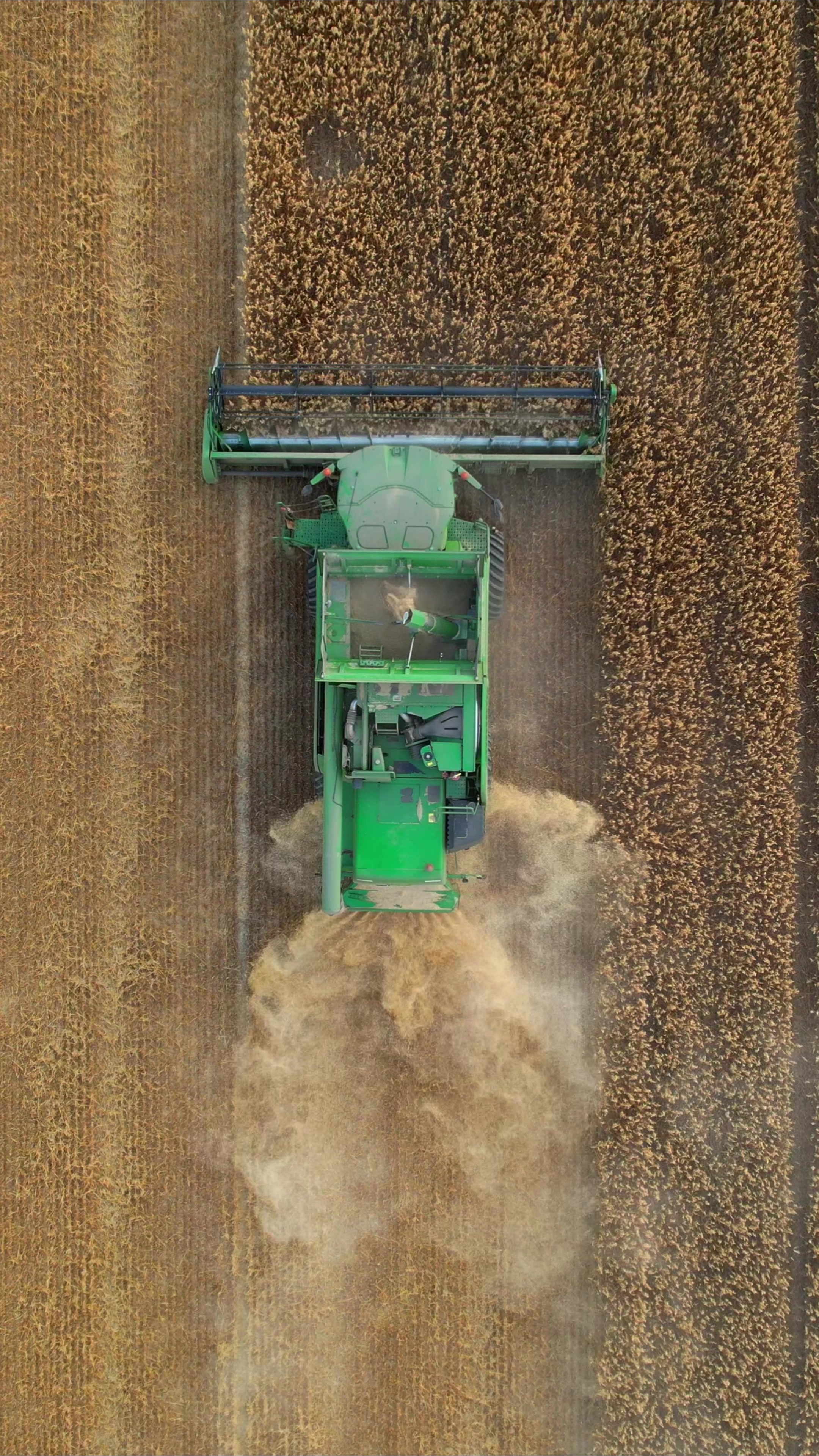 @agrolifetv