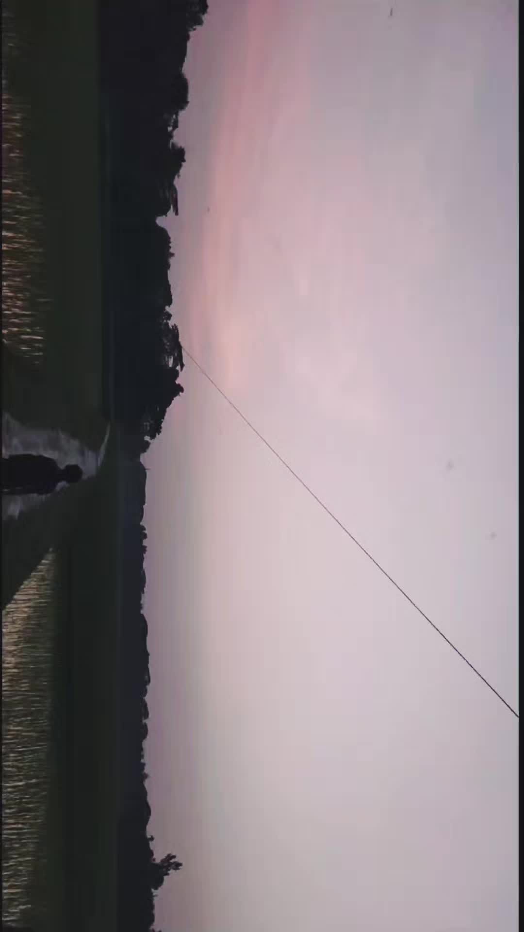 @W H  T A M I M