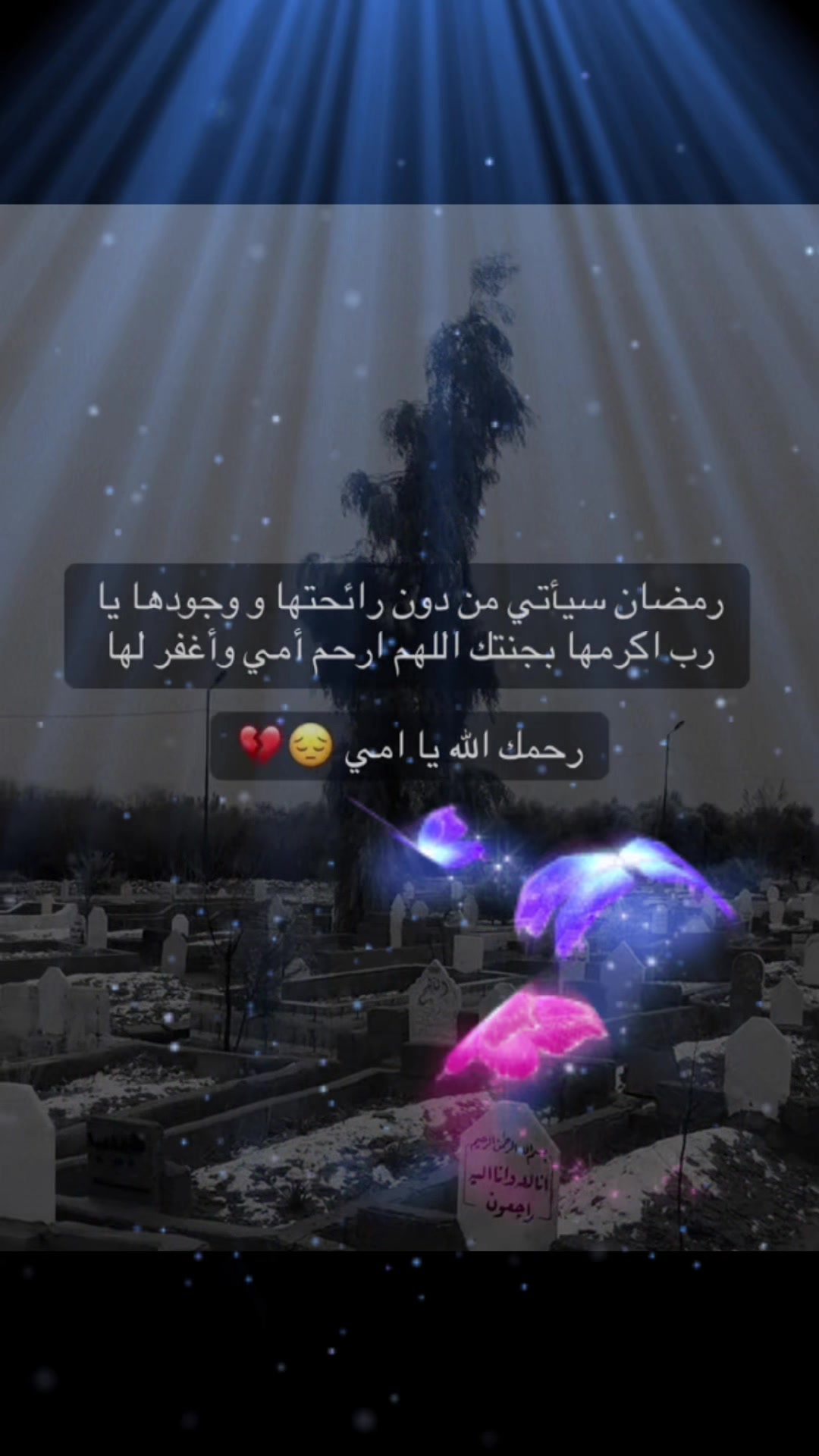 @أميرة بأخلاقي 369