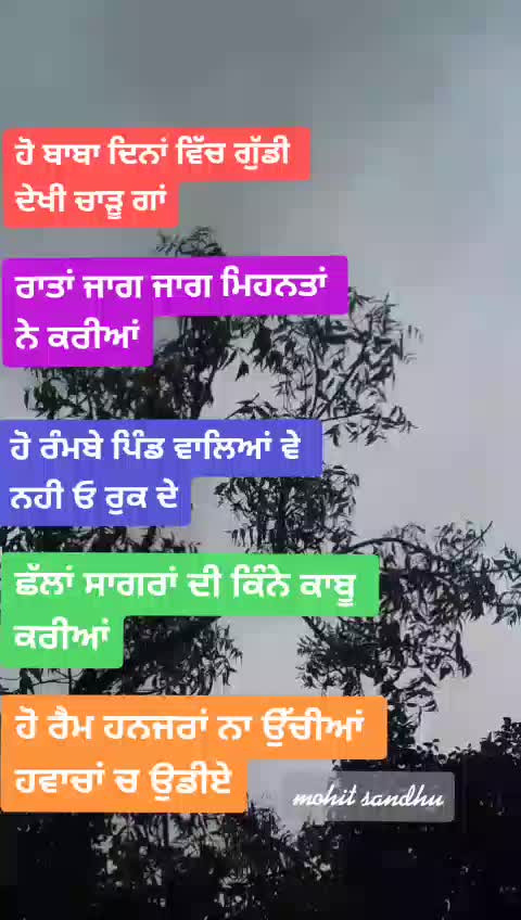 @Mohit Sandhu