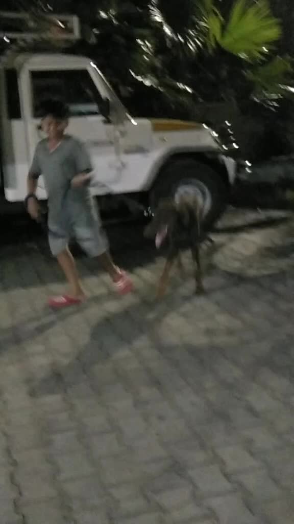 @dd_jaykar