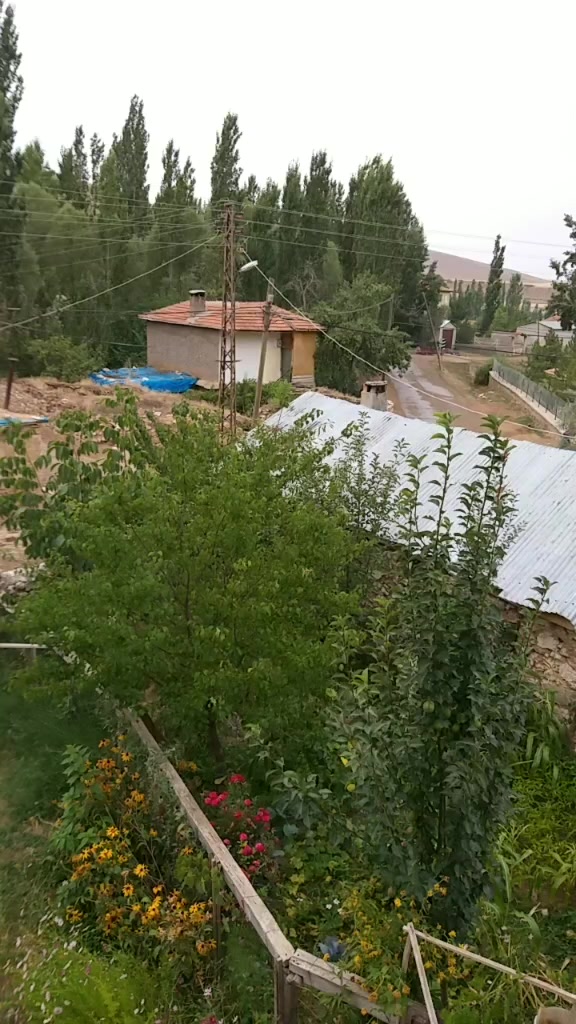 @Ergün Alakeyik