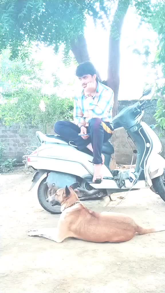 @Rowdy @@bunny@Goud
