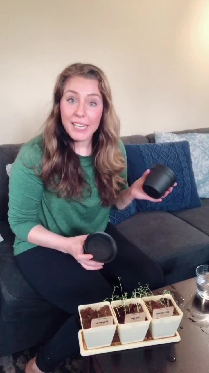 @Kiki B