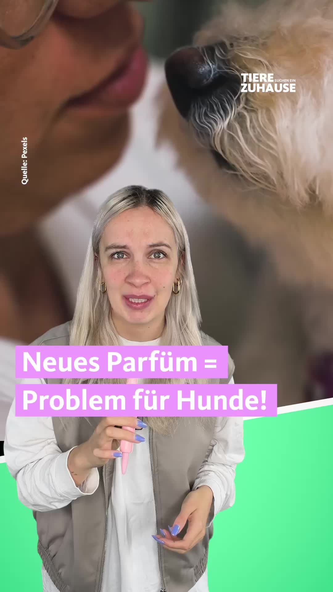 @Tiere suchen ein Zuhause