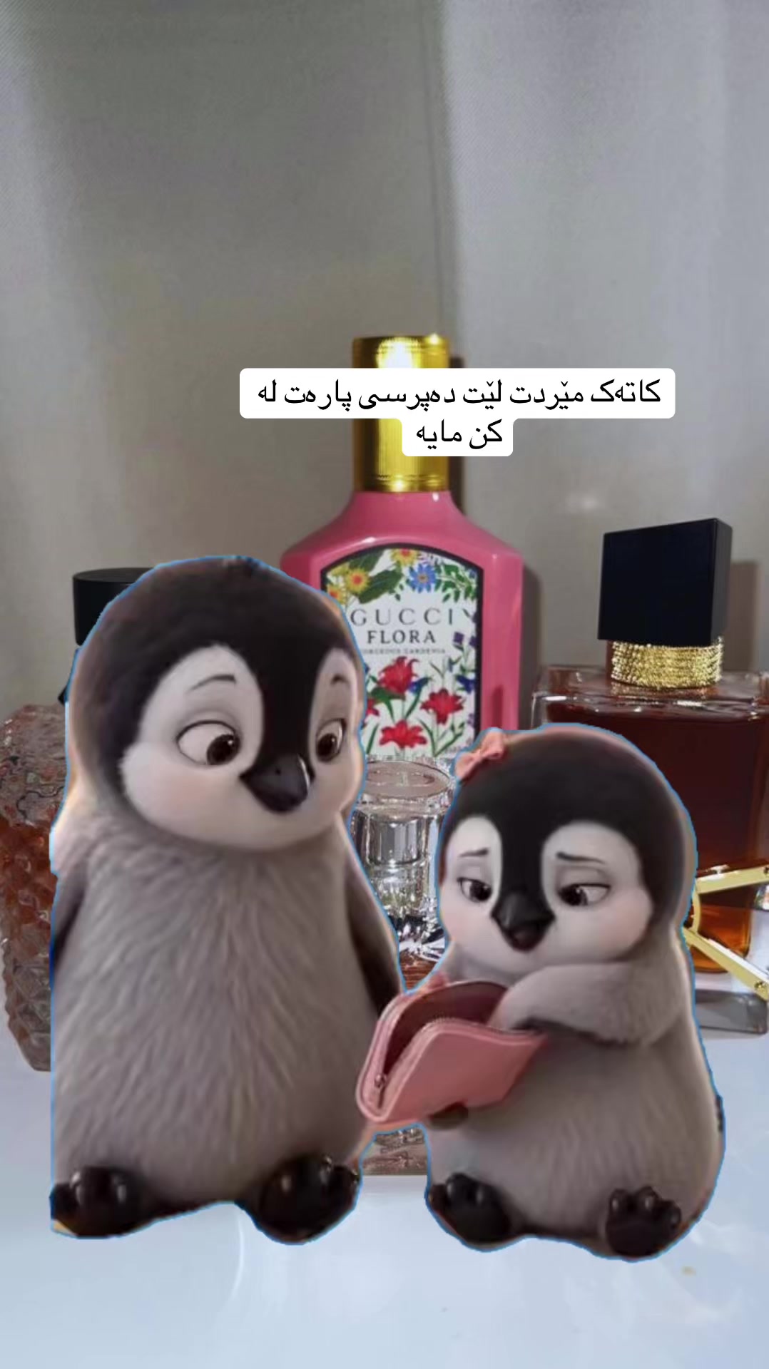 @Shilan