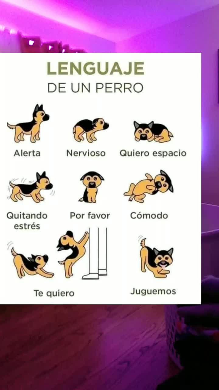 @Beto Antunez