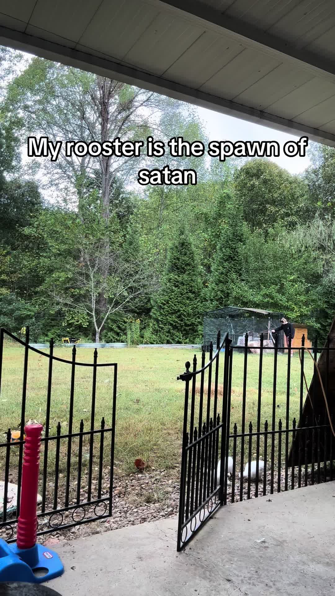 @rachelpittsrealtor