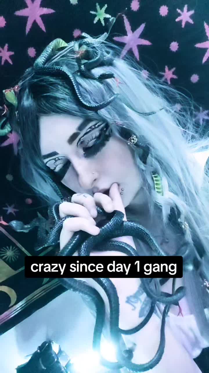 @Kitten 🐈💓🌺