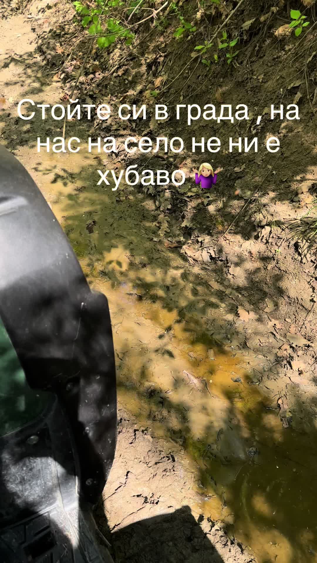 @Tcveti Koeva