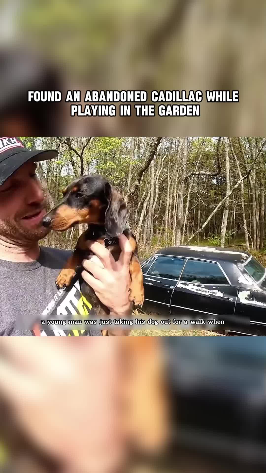 @California Bodycam