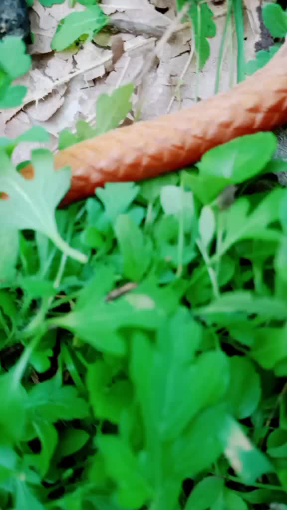 @F&atilde;&icirc;l&ucirc;ēr &Ccedil;h&icirc;&ntilde;tu
