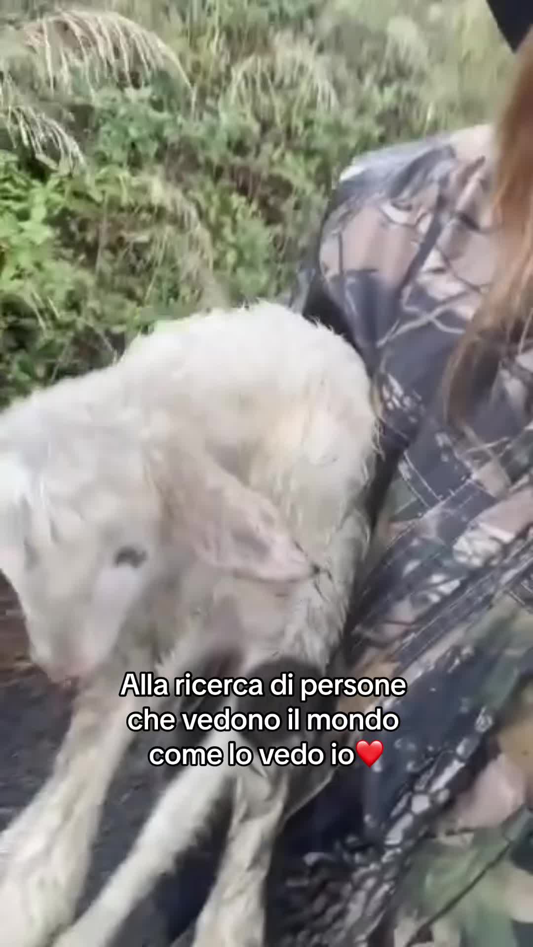 @ry.mako ig