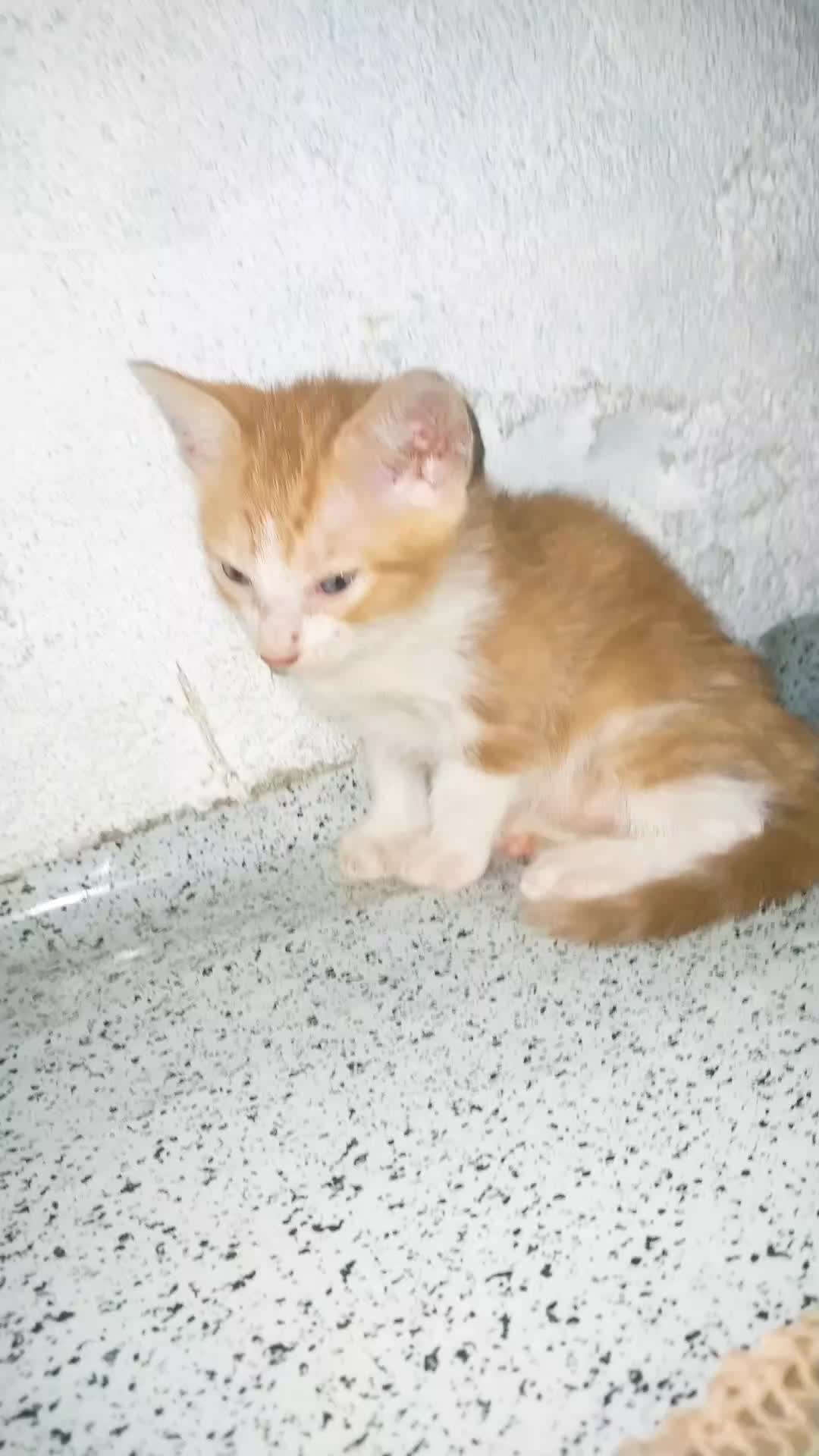 @♥îrënë♥j⁴