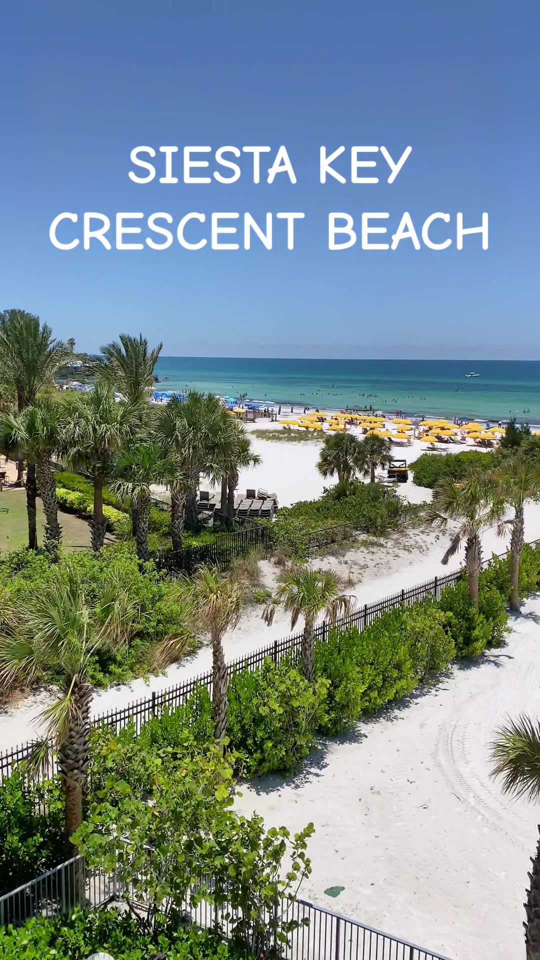 @sarasotaexperience