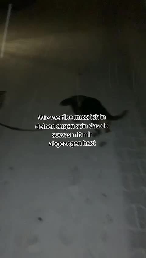 @🥷