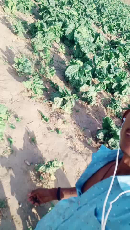 @royal thakor king 5@