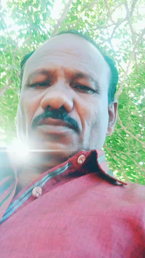 @user831252788