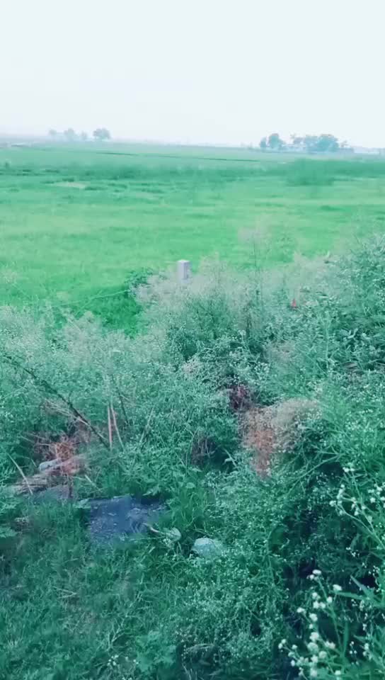 @PARVEEN Sandhu 12345