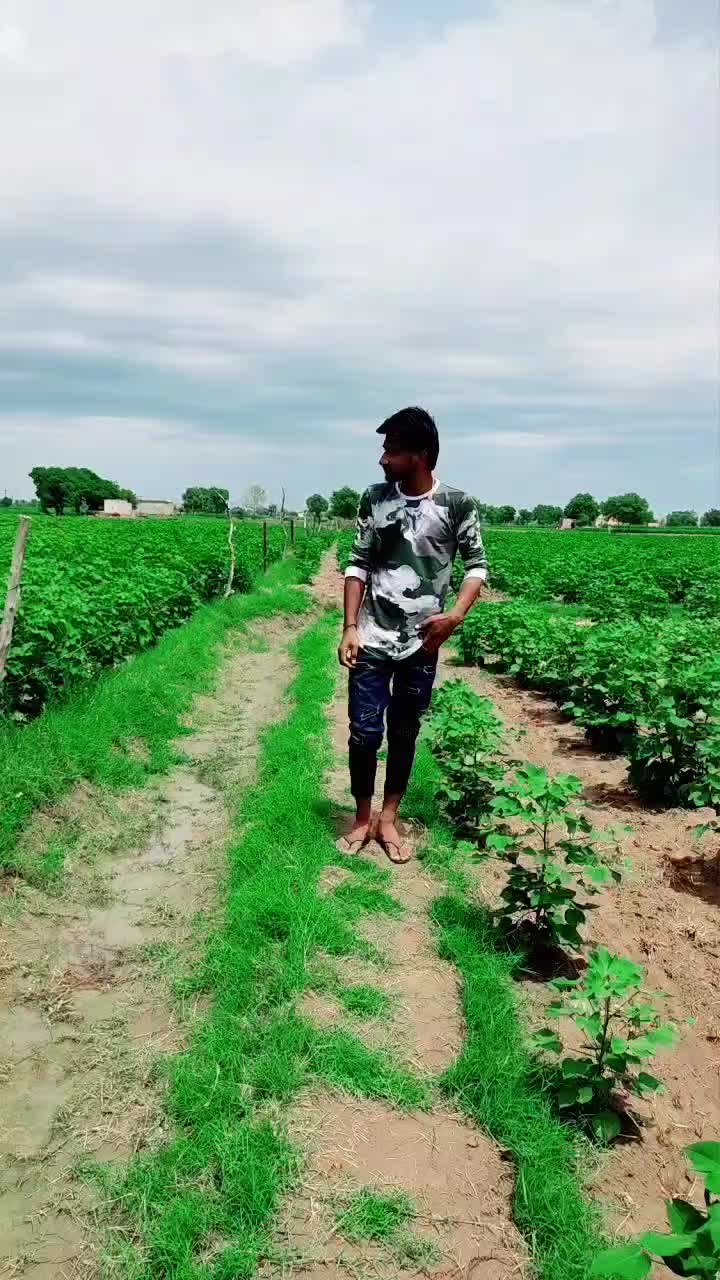 @Tik Toker