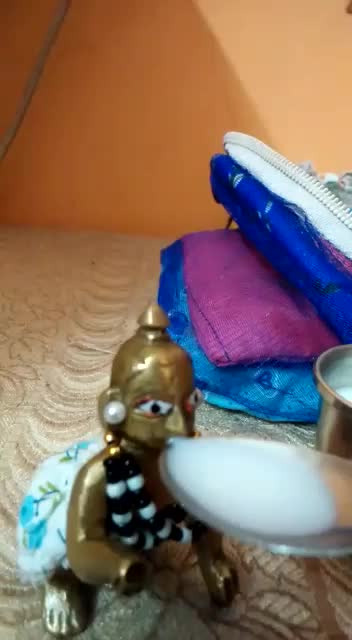 @Palak Ahuja