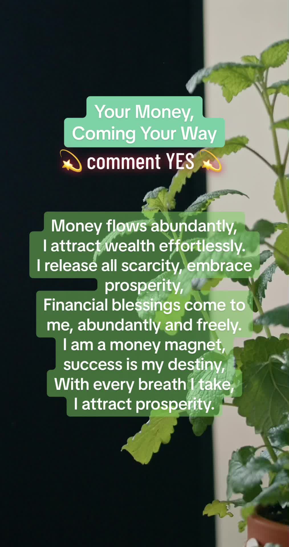 @youarelovedgoods